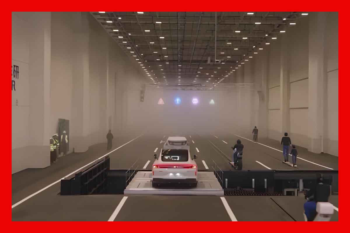 صورة في المقال